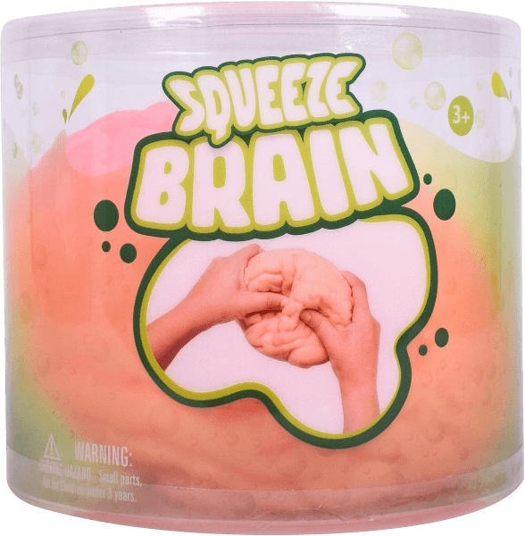 Sunny Days Toymendous Large Brain Squishy Squeeze Ball